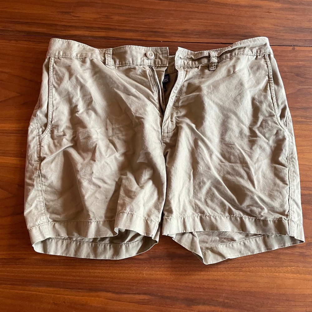 Patagonia Shorts